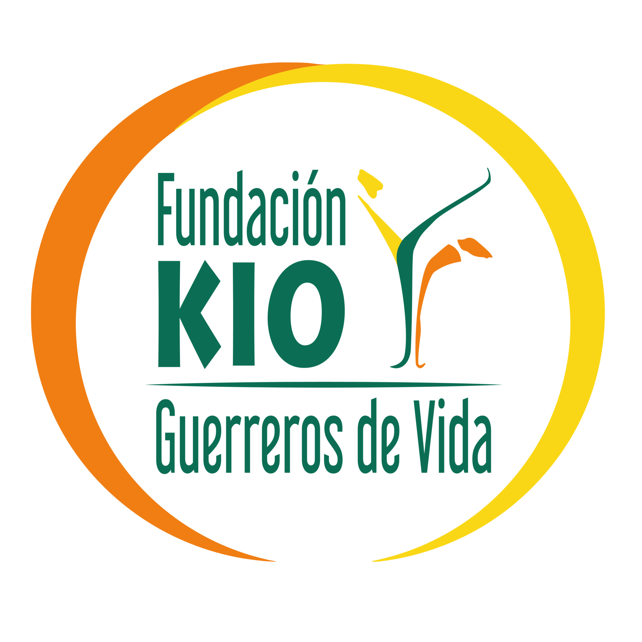 fundacion-sin-animo-de-lucro-2048x2048